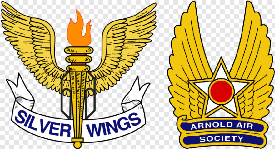  Chicken Wings, Social Media Logos, Silver Ribbon, Angel Wings, Air Horn, Silver Line
