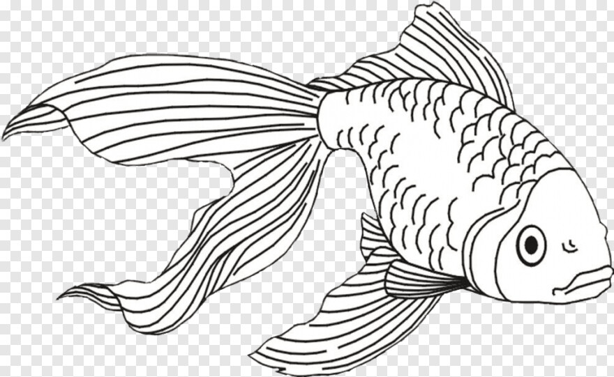 fish-logo # 981050