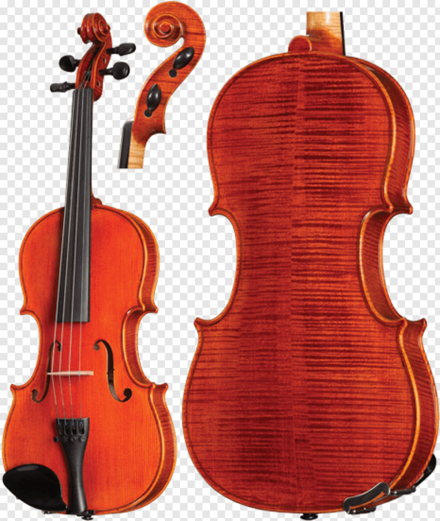 violin # 594047