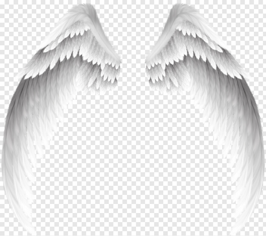 black-angel-wings # 462959