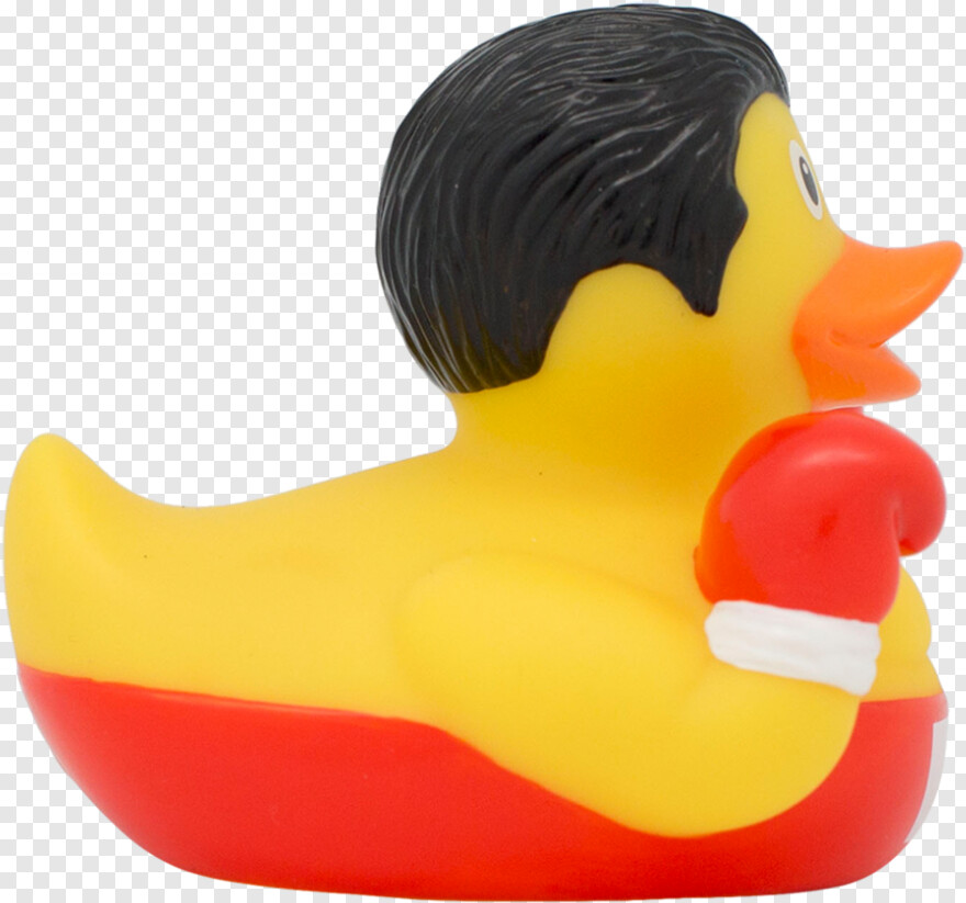 duck # 521218