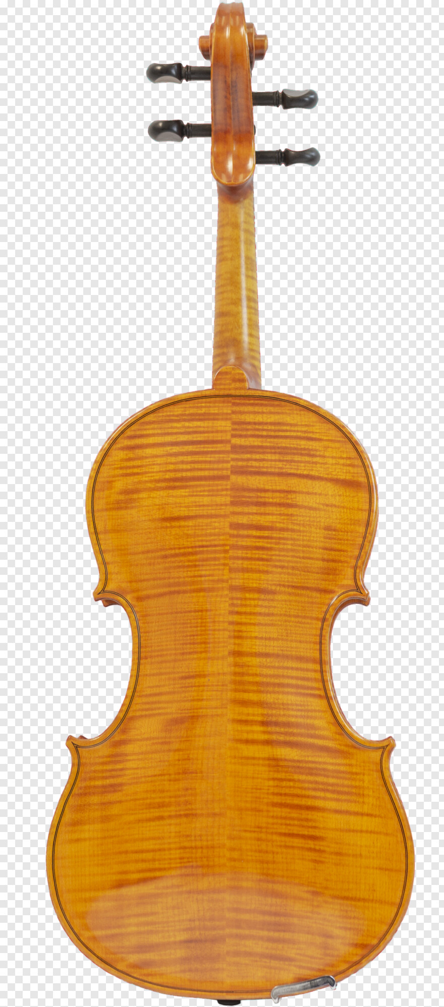 violin # 800031