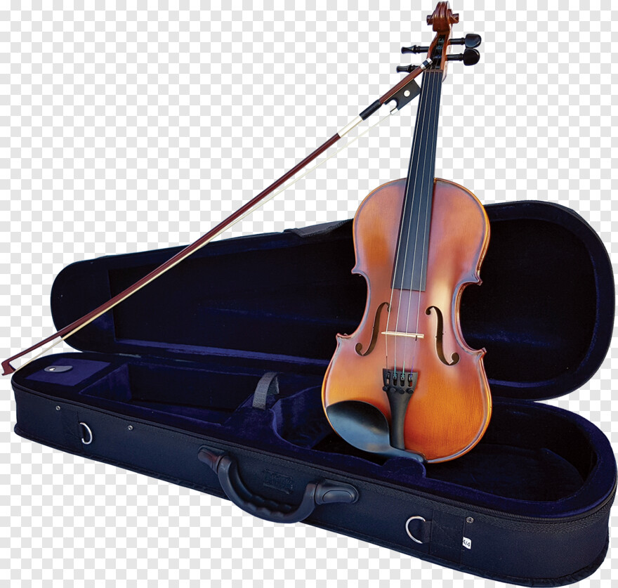 violin # 711990