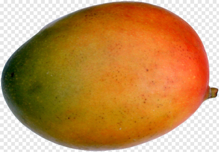 mango-fruit # 473213