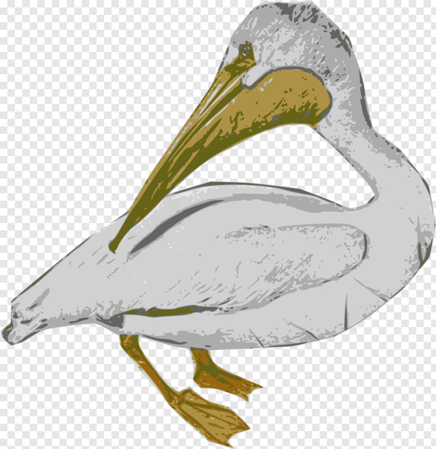 pelican # 659333