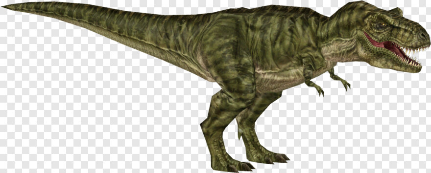 tyrannosaurus-rex # 1106783