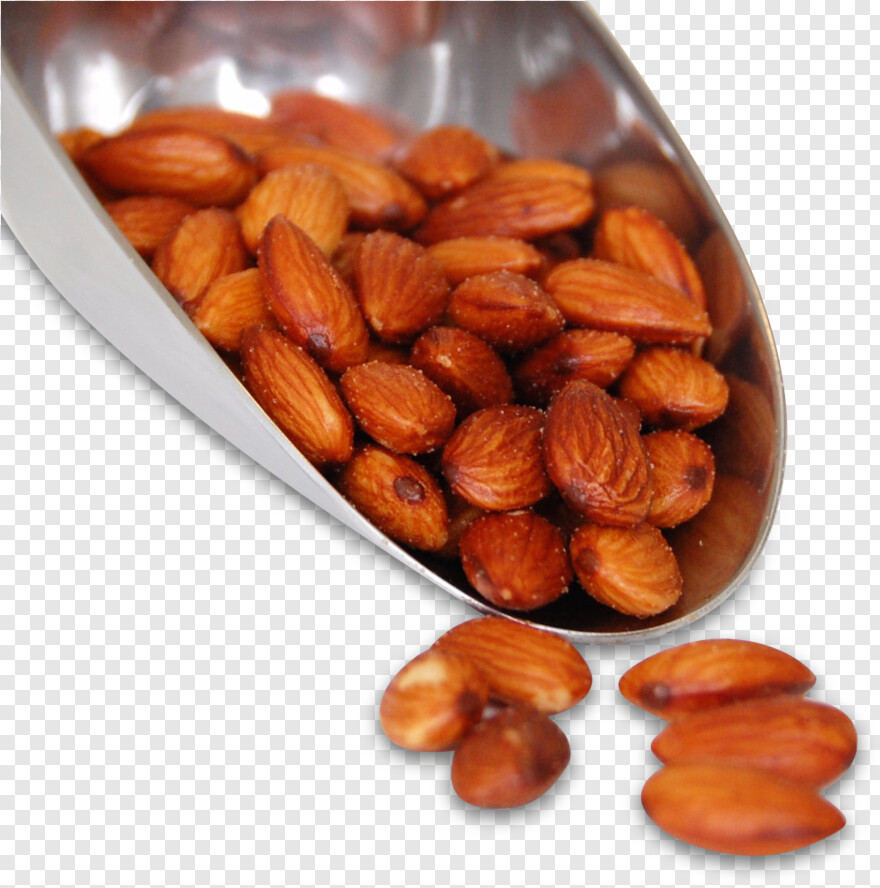 deez-nuts # 537165