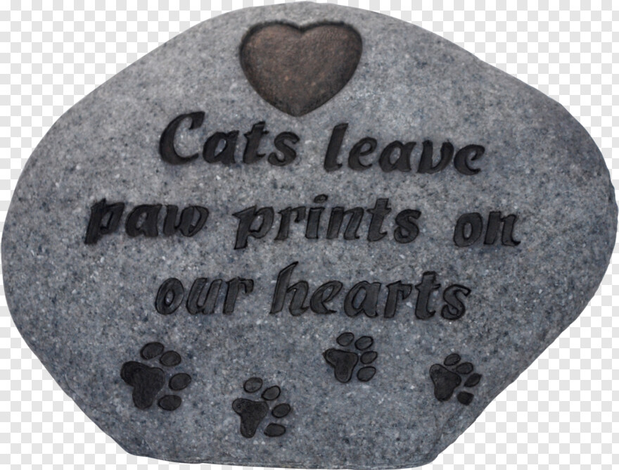 cat-paw-print # 313626