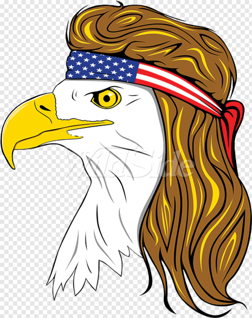 american-eagle # 419452