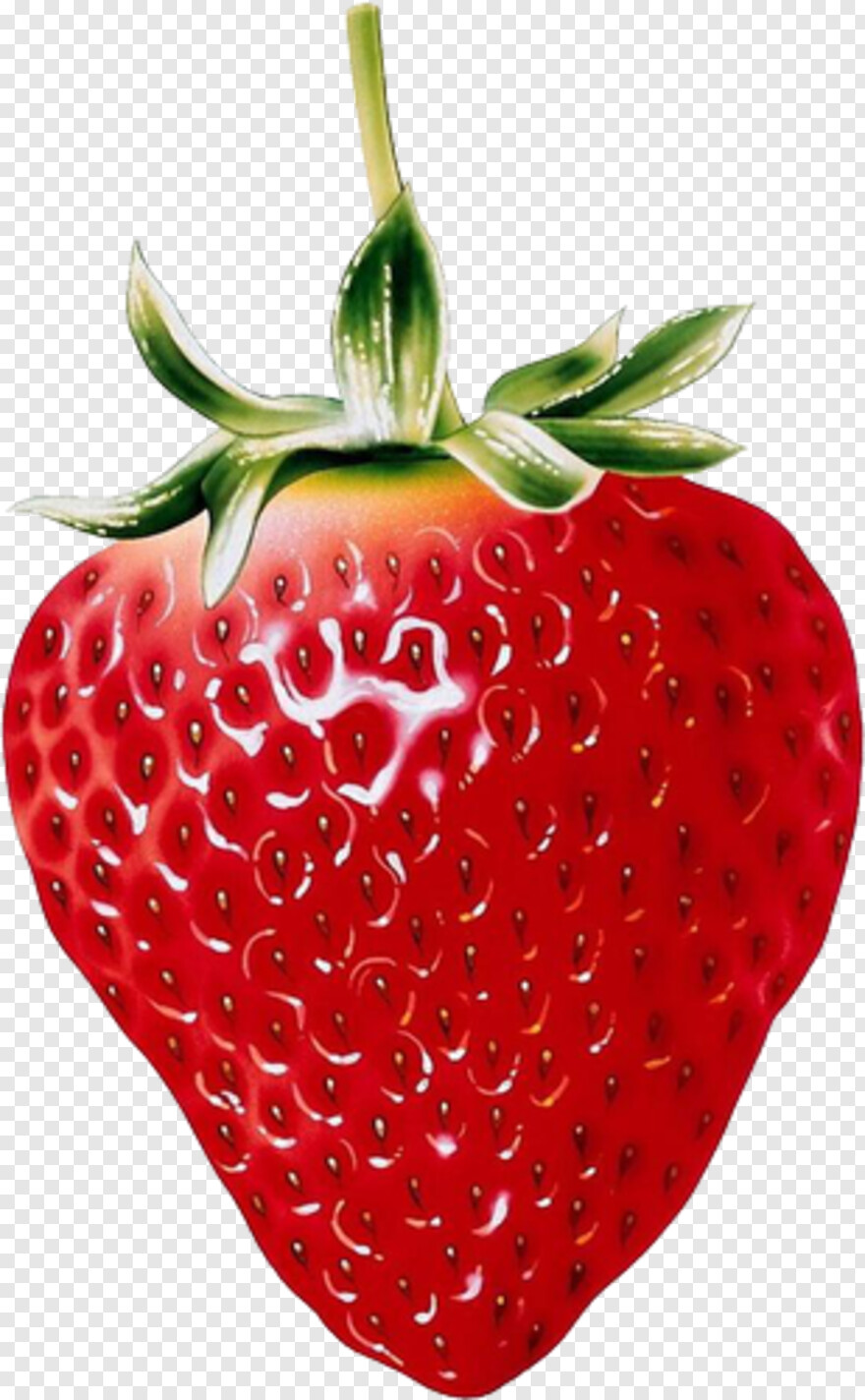 strawberry-shortcake # 427772
