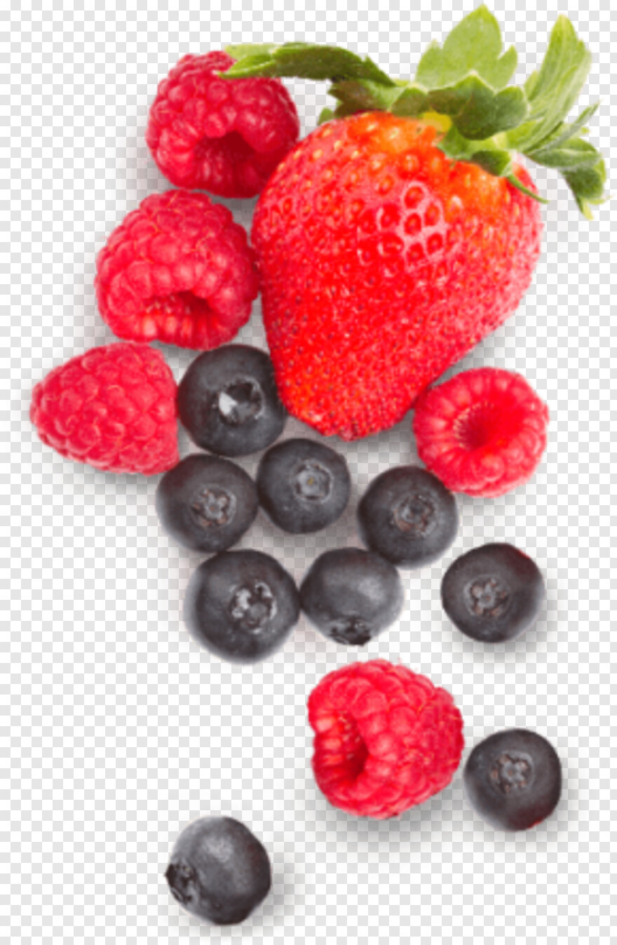 berries # 372085