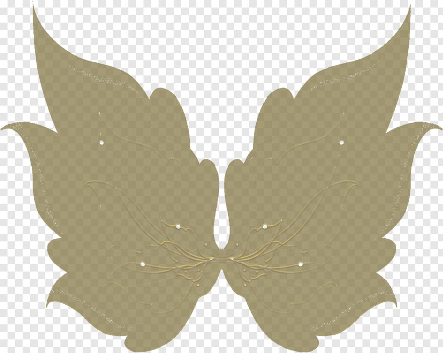 butterfly-wings # 847733