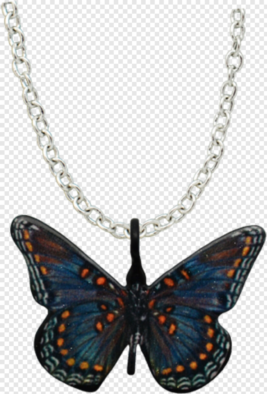 butterfly # 1094171