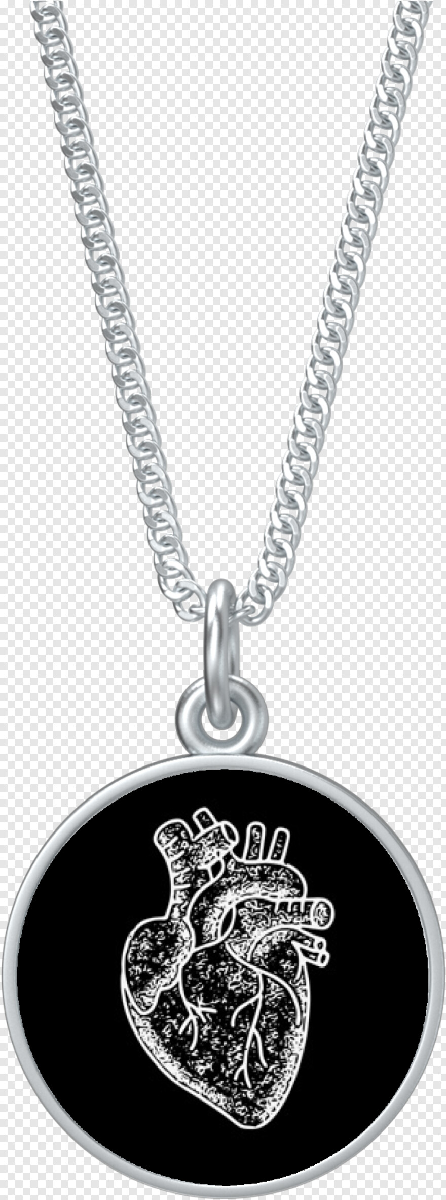 silver-chain # 519937