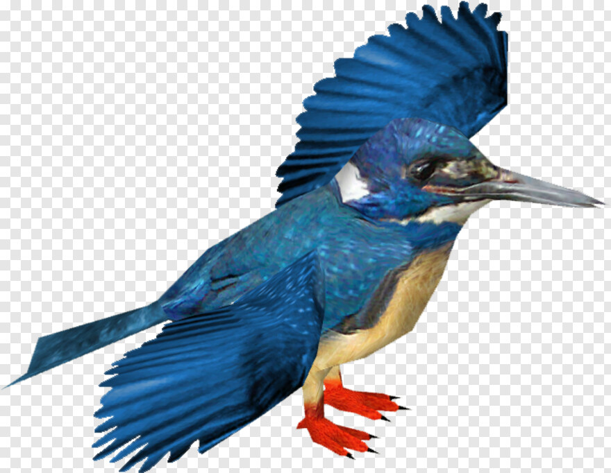 kingfisher-logo # 373779