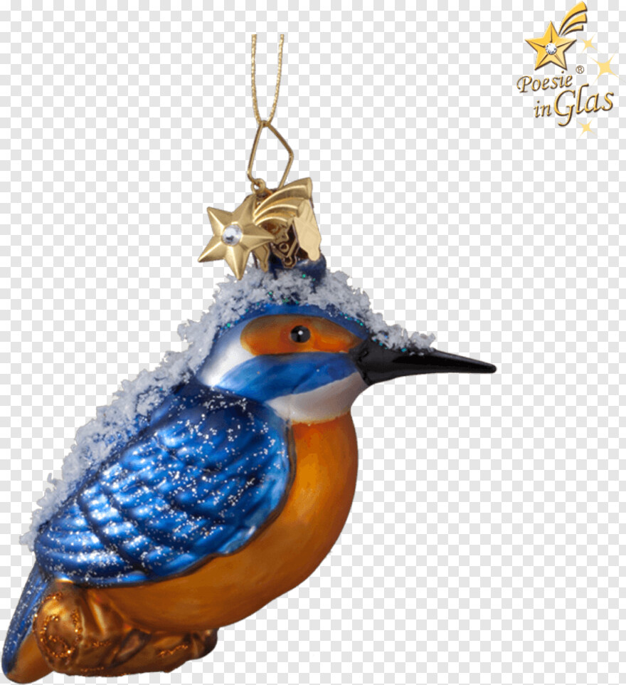 kingfisher-logo # 856943