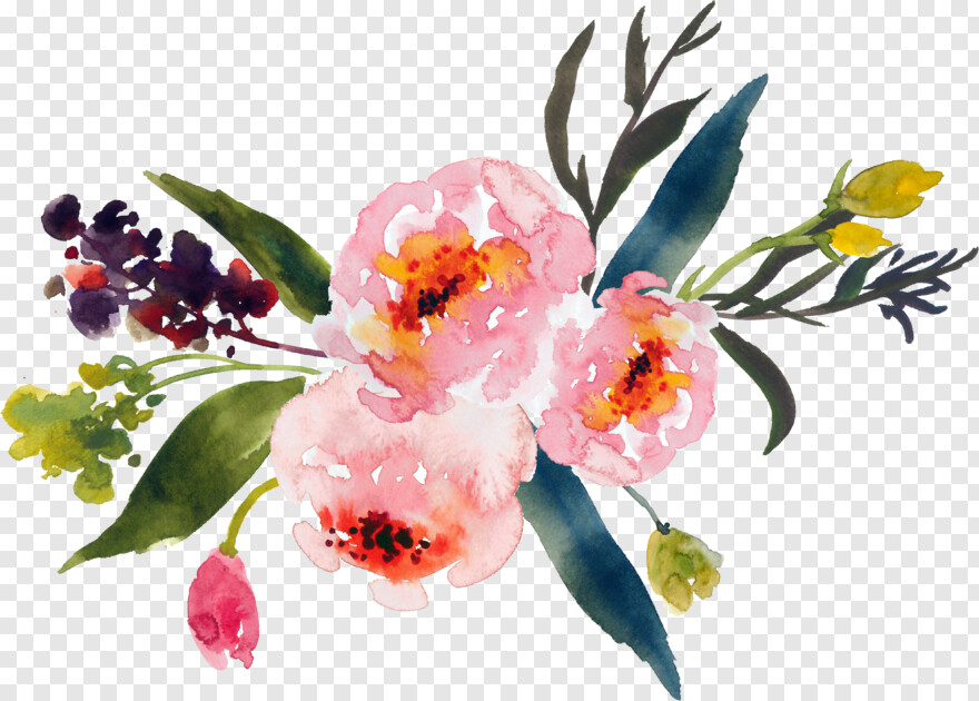 sakura-flower # 480484