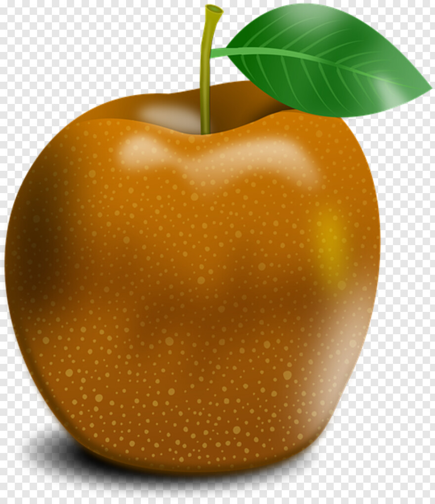 apple-logo # 498497