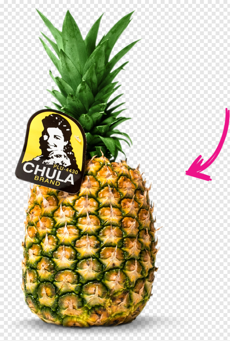 pineapple-juice # 313551