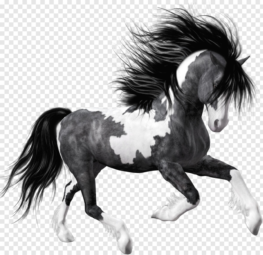  White Horse, Horse Mask, Black Horse, Horse Head, Horse Logo