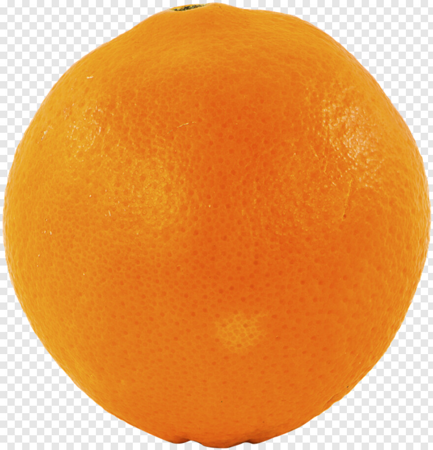 orange-fruit # 344876