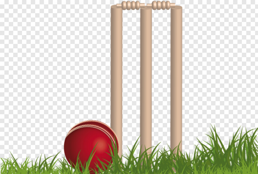  Cricket Clipart, Cricket Vector, Cricket Cup, Cricket Images, Cricket Kit, Cricket Bat And Ball