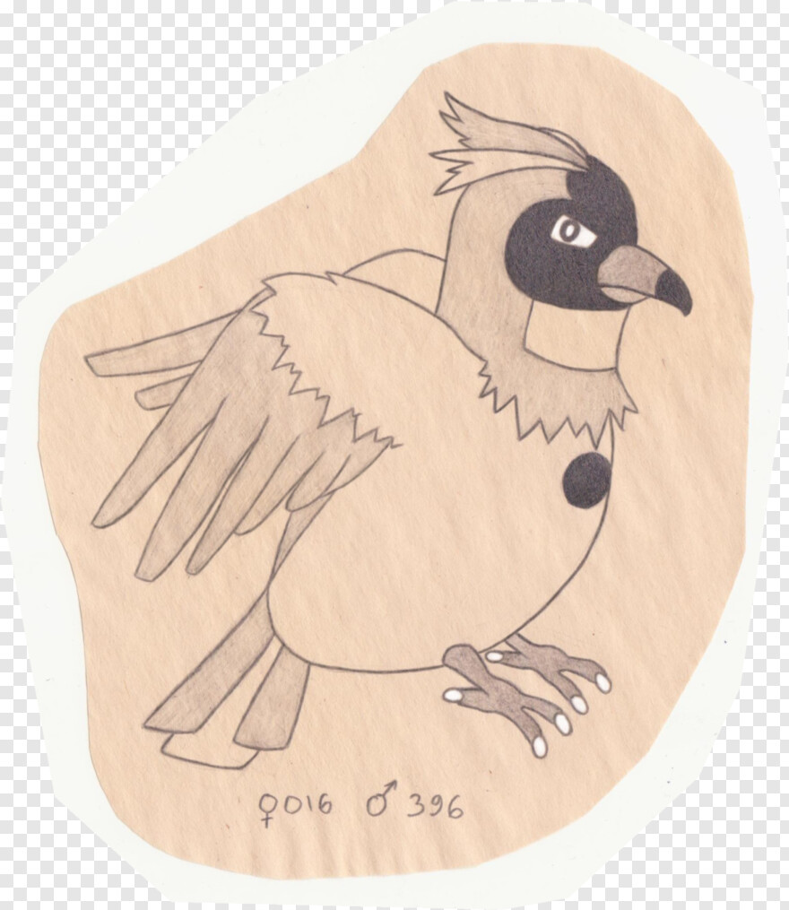 phoenix-bird # 360163