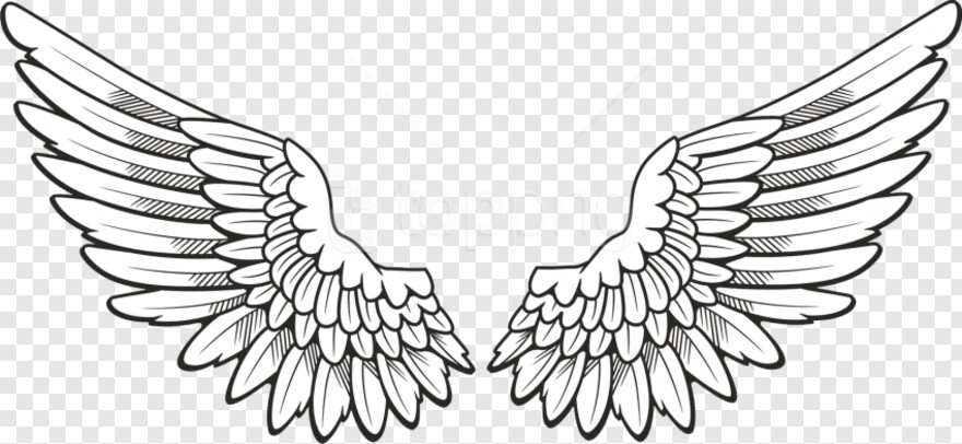 angel-wings-vector # 515714