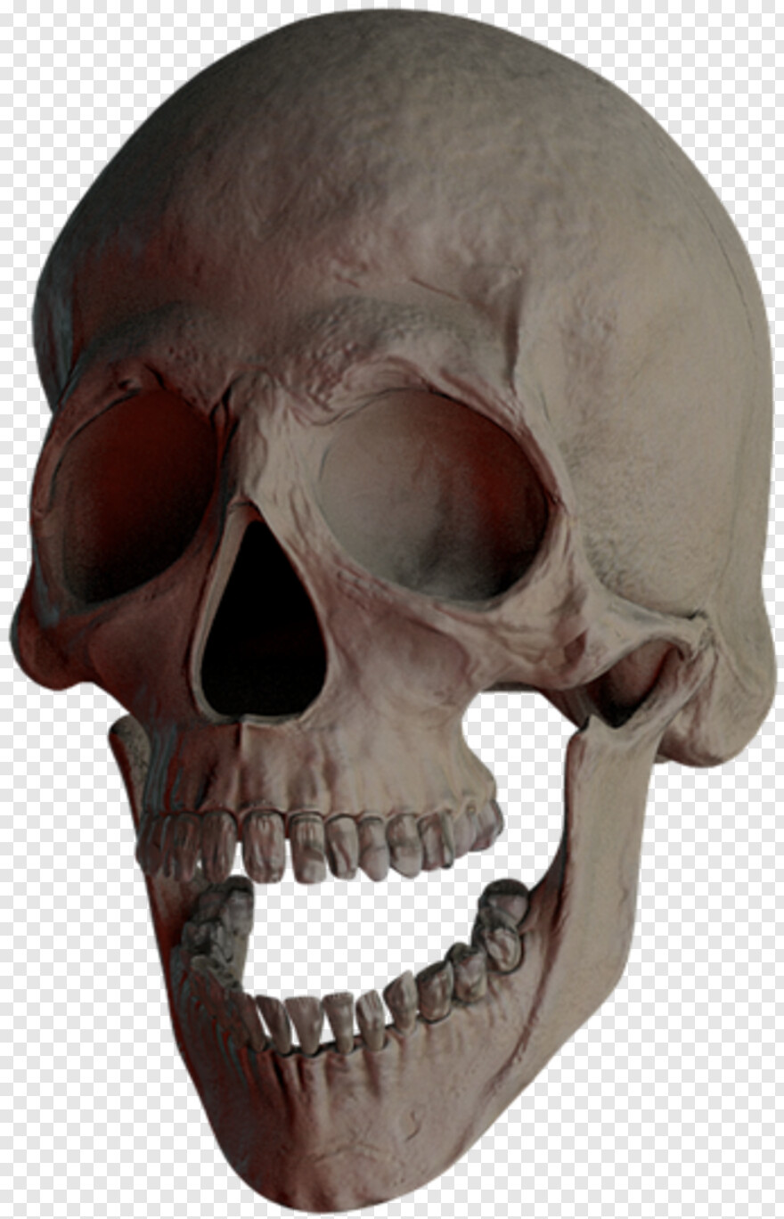 skull-and-crossbones # 333418