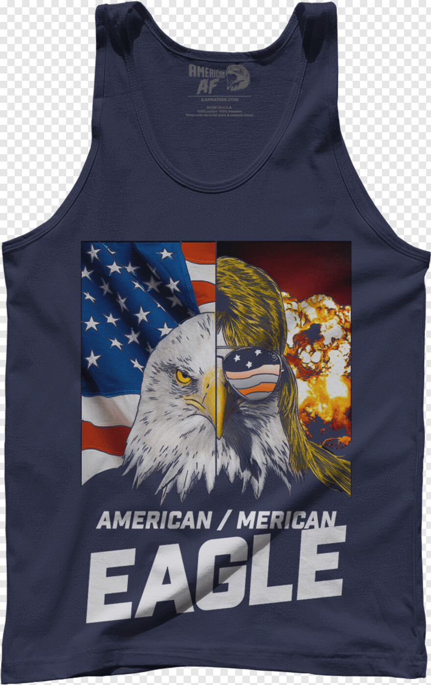 american-flag-eagle # 528118