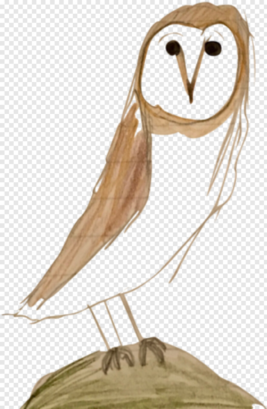 owl-silhouette # 512638