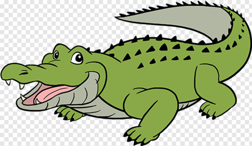 alligator # 538036