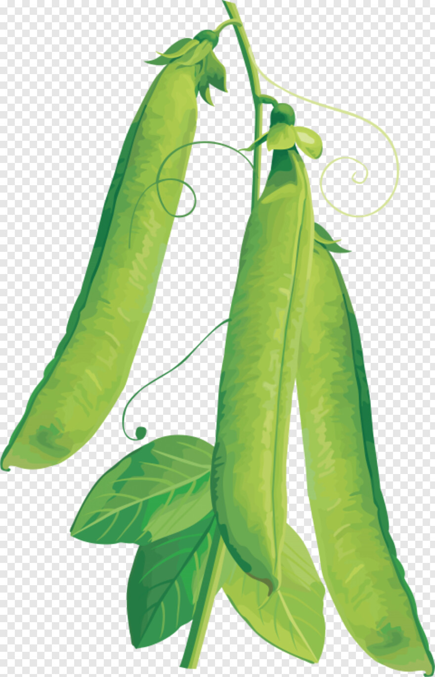 vegetables-icons # 659924