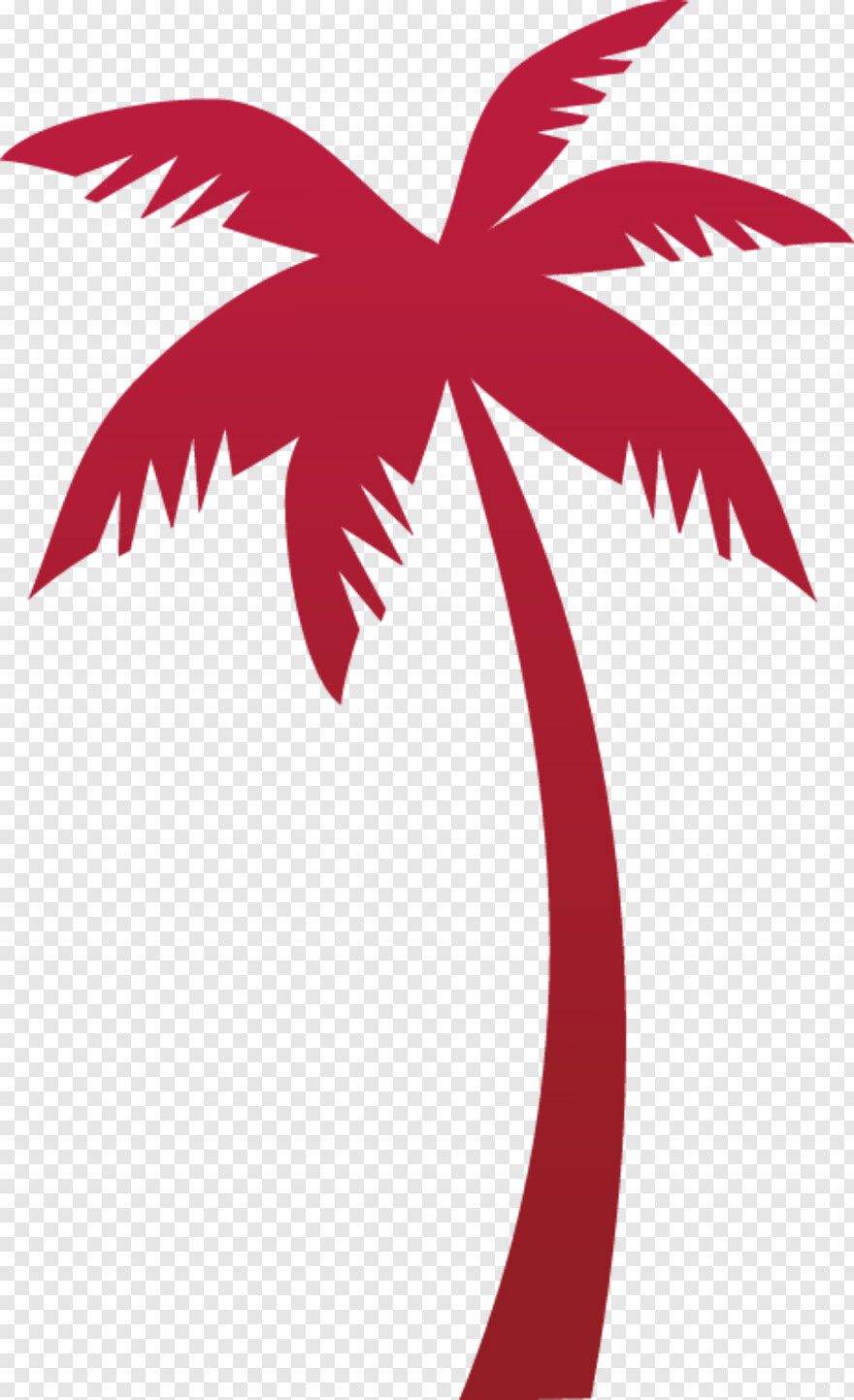 beach-coconut-tree # 460596