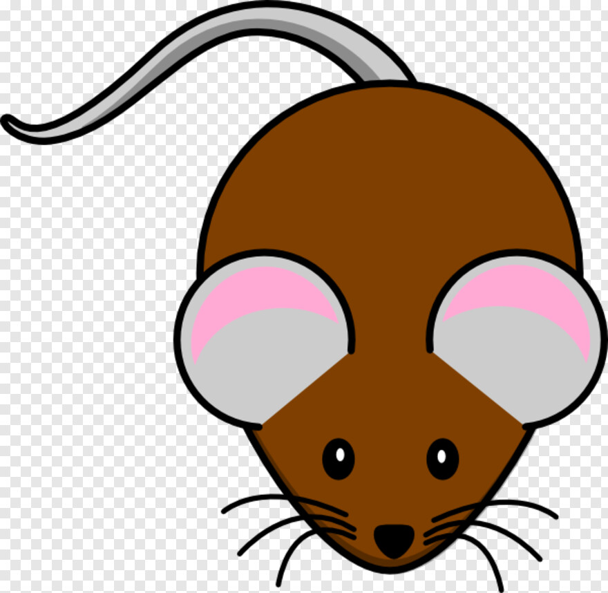 mouse-animal # 684870