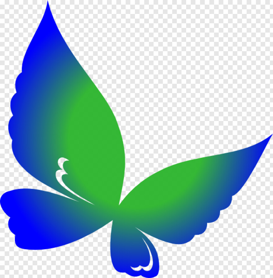 butterfly-wings # 1094153