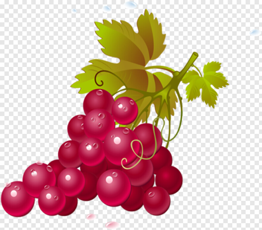 grapes # 887079