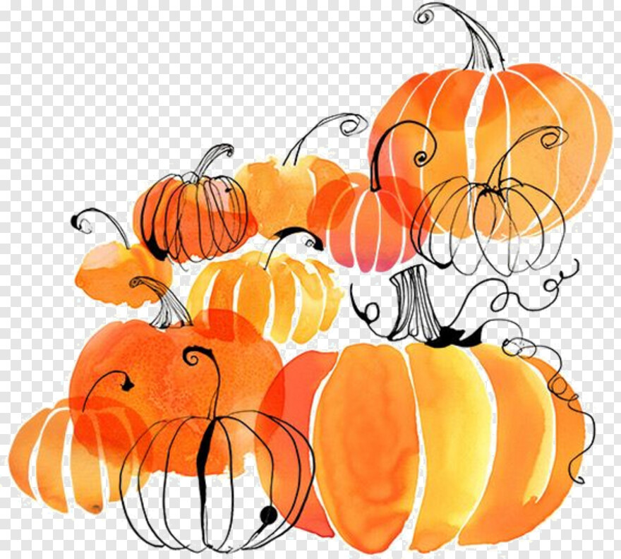 pumpkin-vector # 500330