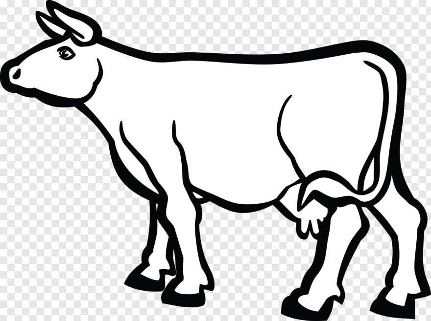 cow-icon # 356874