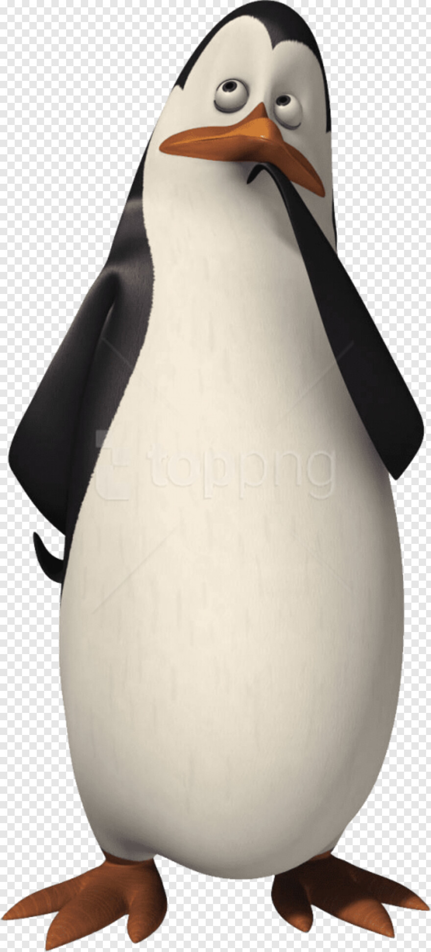 penguin # 706356