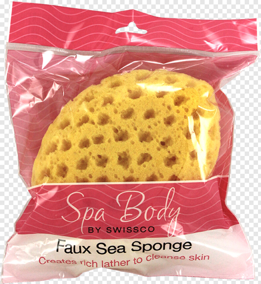 sponge # 336882
