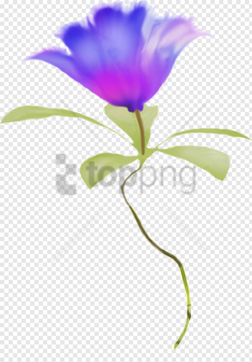 blue-flowers-border # 429882