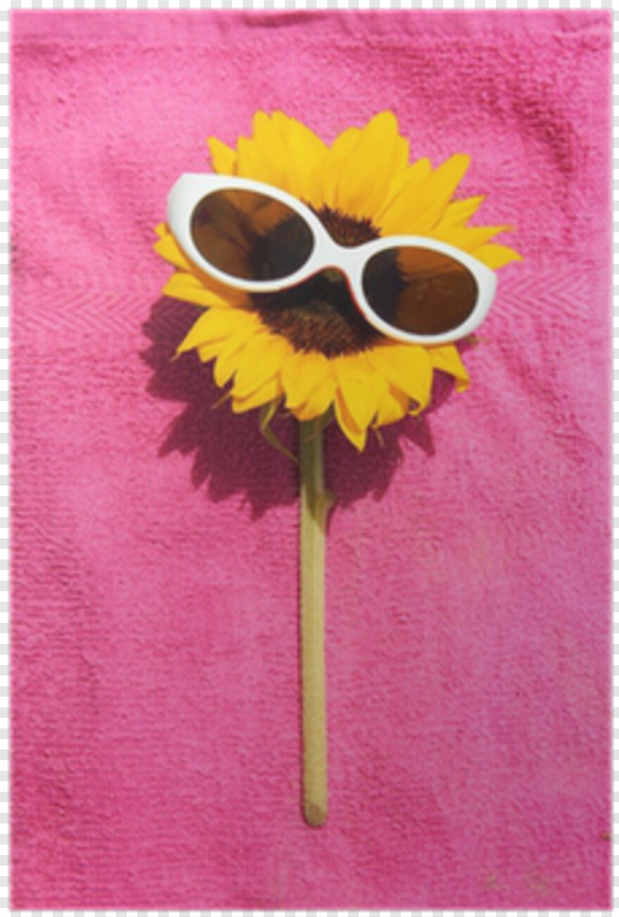 sunflower-vector # 1037647