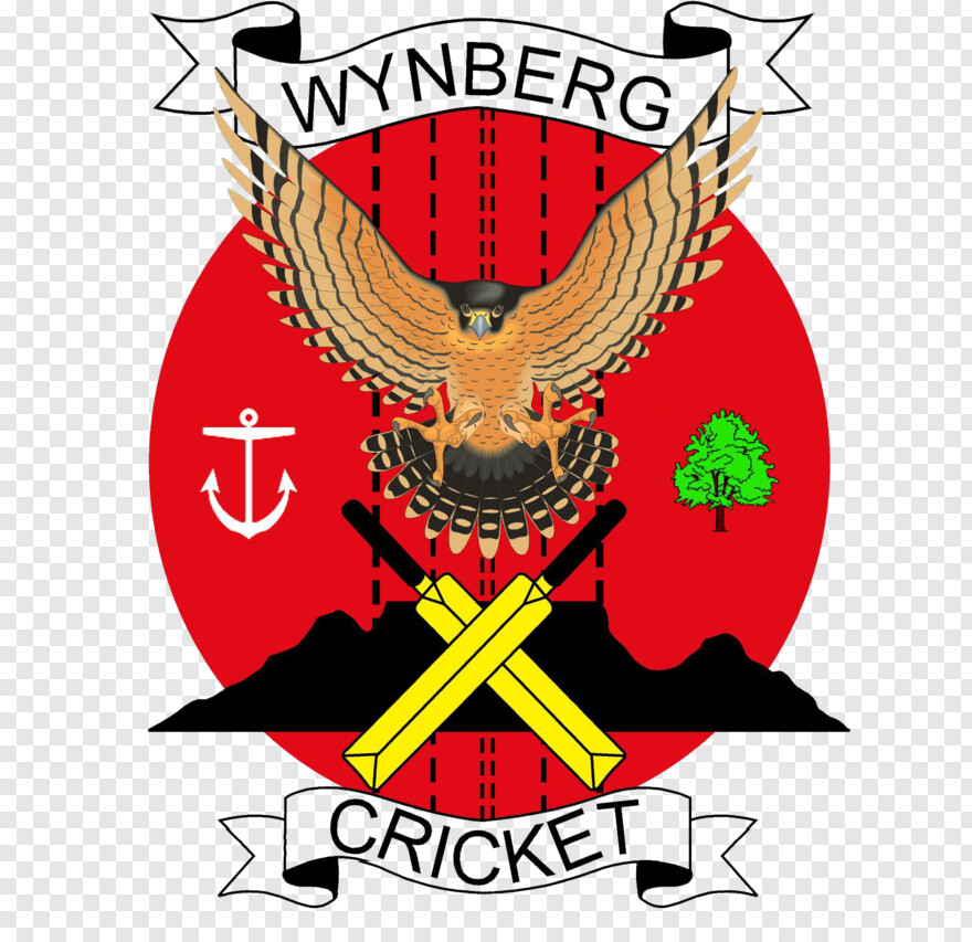  Cricket Kit, Cricket Vector, Cricket Clipart, Cricket Cup, Cricket Bat And Ball, Cricket Images