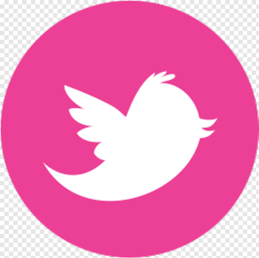  Twitter Bird Logo, Twitter Logo Transparent Background, Twitter Logo White, Facebook Instagram Twitter, Facebook Twitter Logo