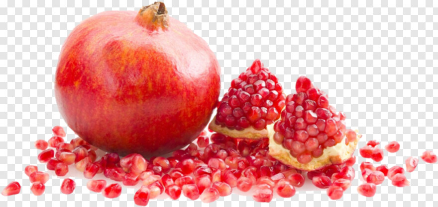 pomegranate # 648352