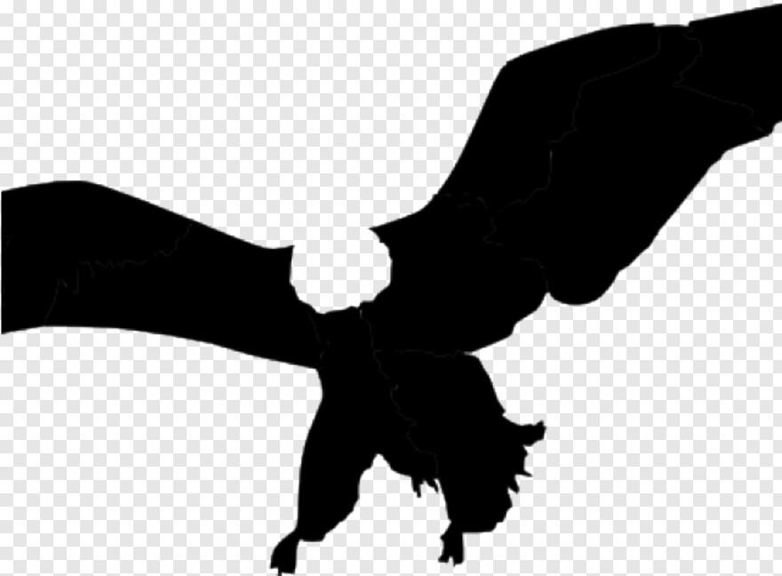 eagle-silhouette # 877676