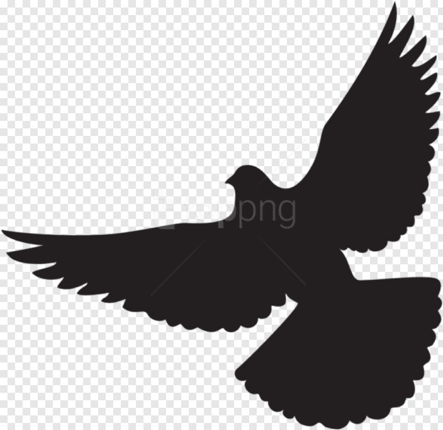 peace-dove # 889123