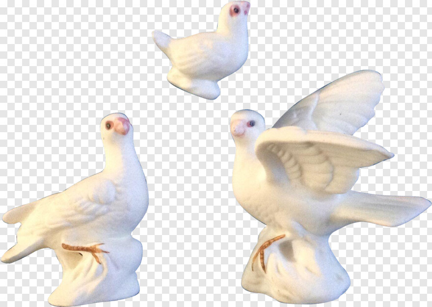 white-dove # 360105