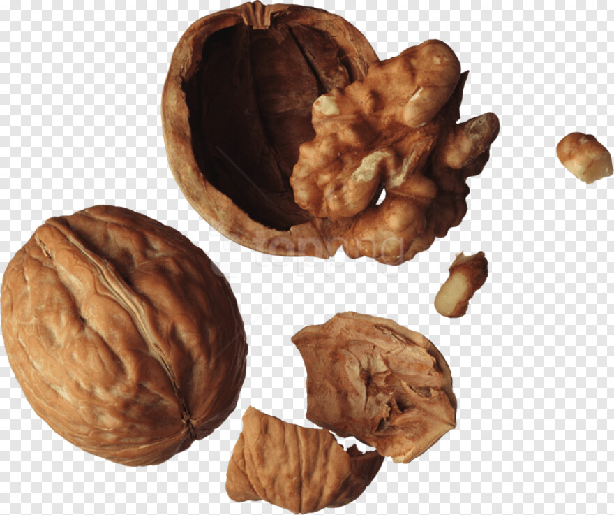 walnut # 592605